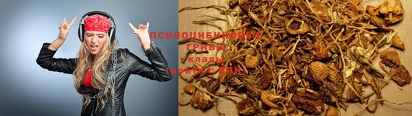 гидропоника Краснослободск
